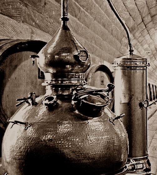 straight distillation apparatus